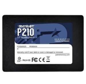 Patriot p210   256 GB